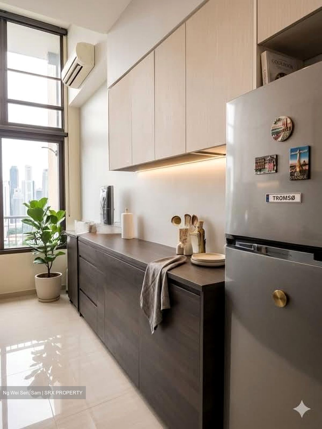 Sims Urban Oasis (D14), Condominium #540702431